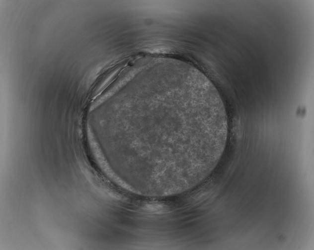 X0000112170547200909041153