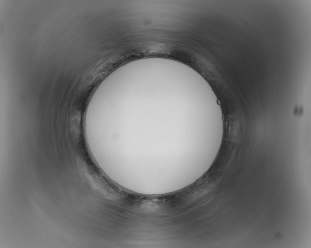 X0000112170550200909041153