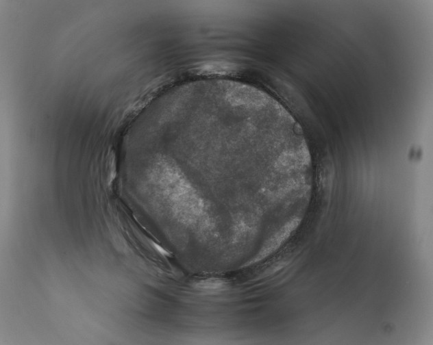 X0000112170551200909041153