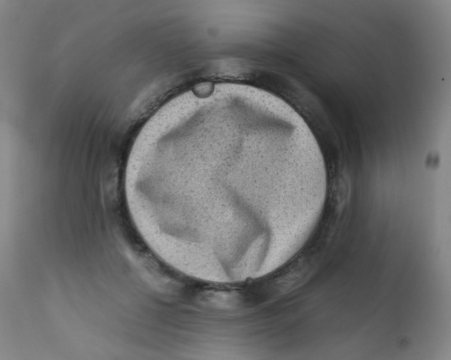 X0000112170552200909041153