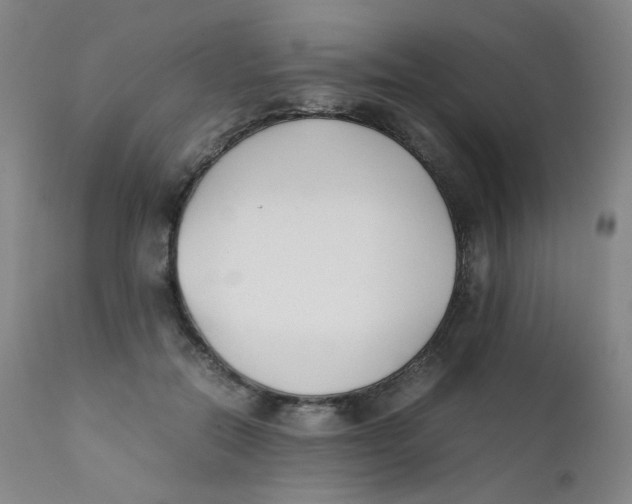 X0000112170554200909041153