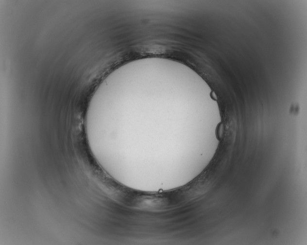 X0000112170555200909041153