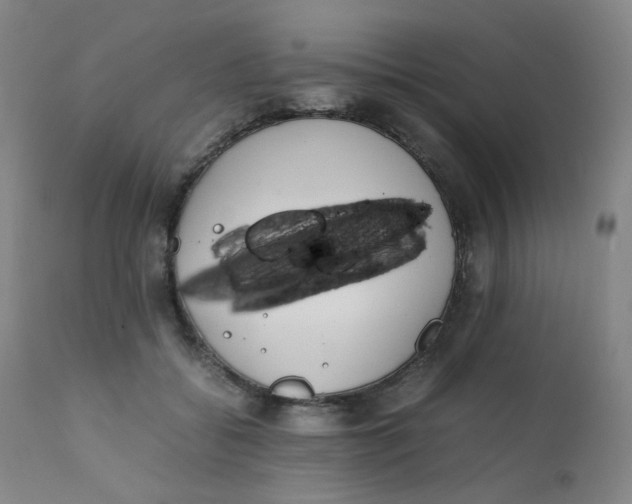 X0000112170556200909041153