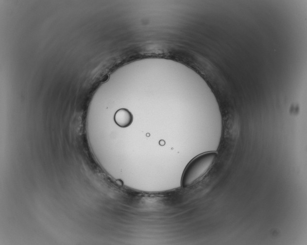 X0000112170560200909041153