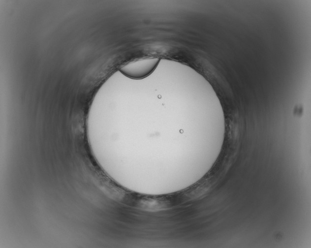 X0000112170561200909041153