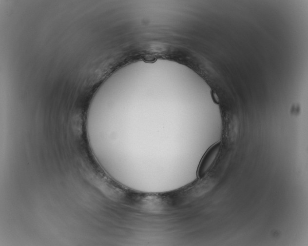 X0000112170562200909041153