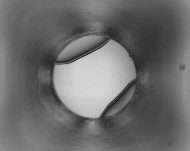 X0000112170564200909041153