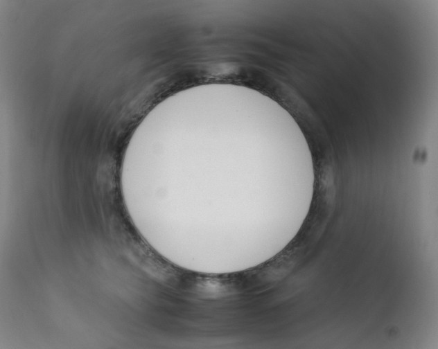 X0000112170565200909041153