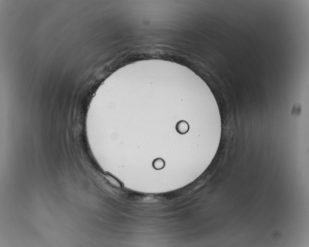 X0000112170566200909041153