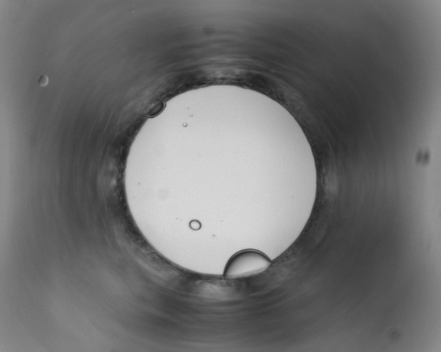 X0000112170567200909041153