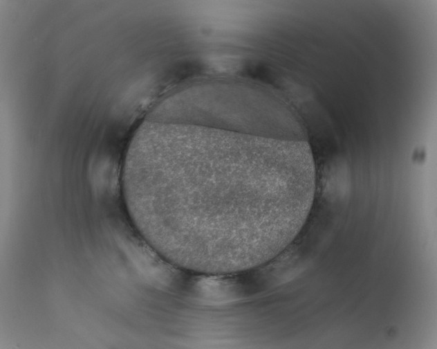 X0000112170568200909041154