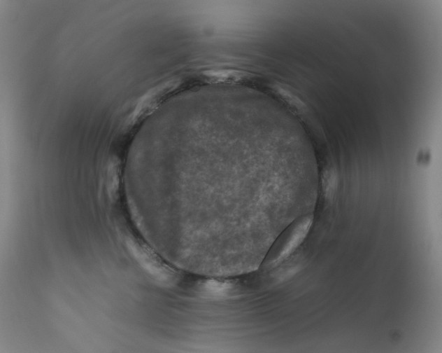 X0000112170570200909041154