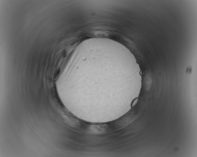 X0000112170571200909041154