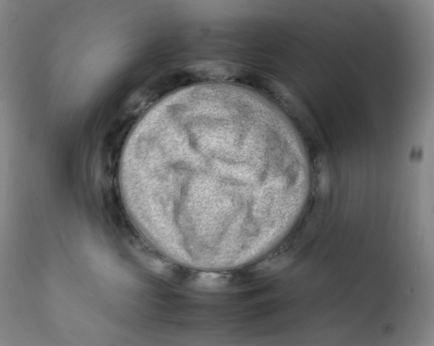 X0000112170573200909041154