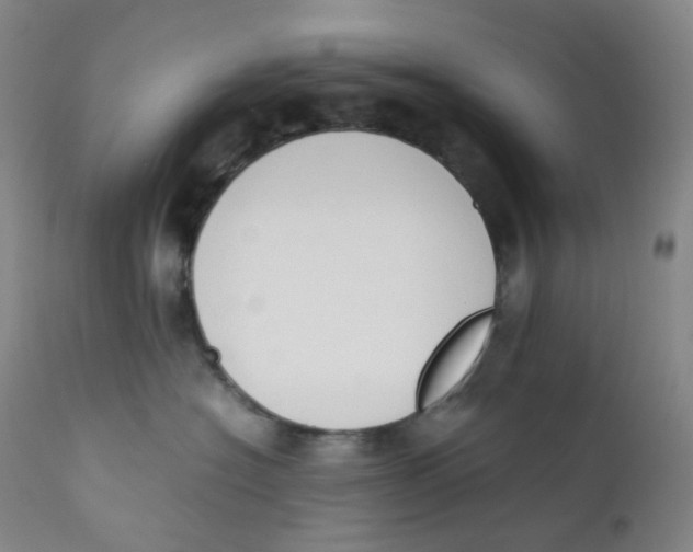 X0000112170574200909041154