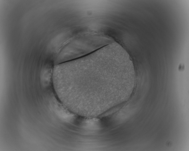 X0000112170576200909041154