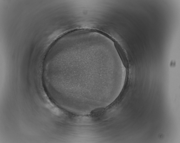 X0000112170577200909041153