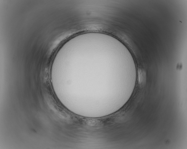 X0000112170579200909041153