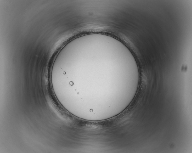 X0000112170582200909041153