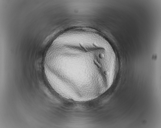 X0000112170585200909041153