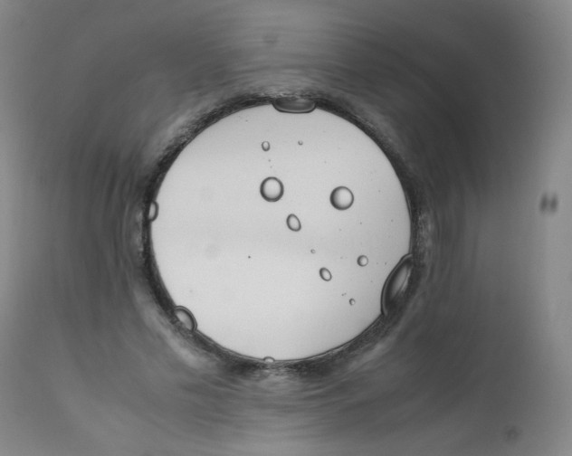 X0000112170589200909041153