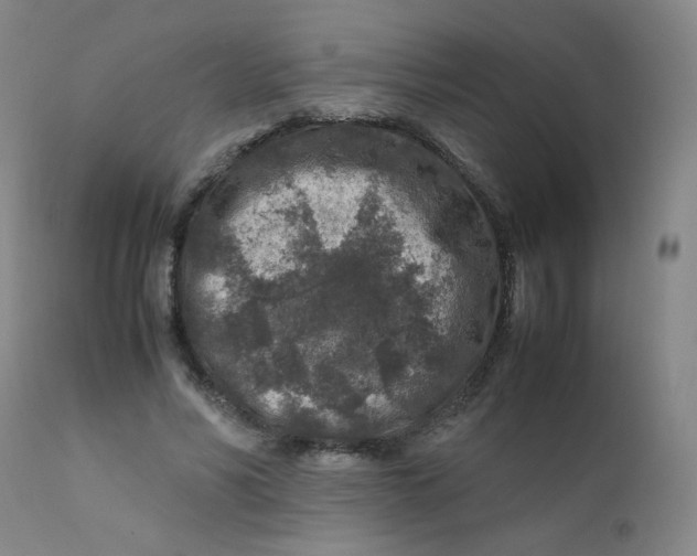 X0000112170590200909041153