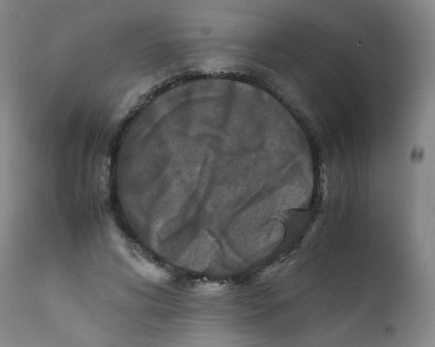 X0000112170592200909041153