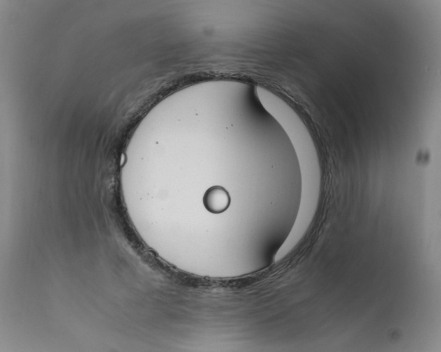 X0000112170593200909041153