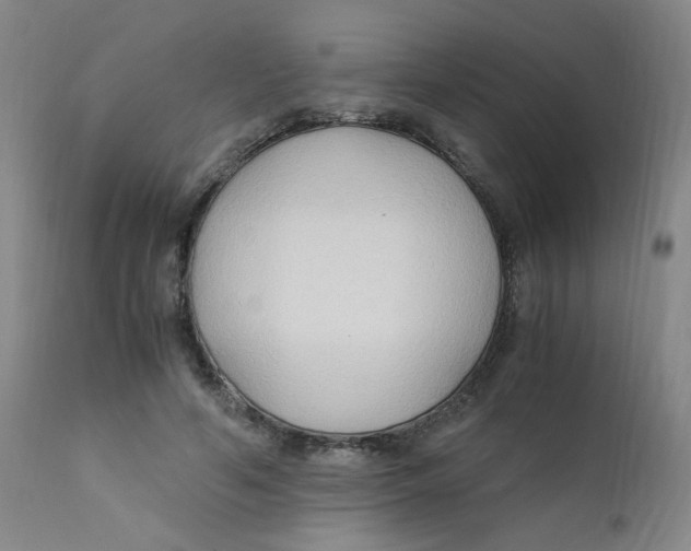 X0000112170594200909041153