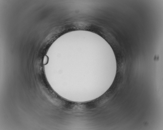 X0000112170599200909041152