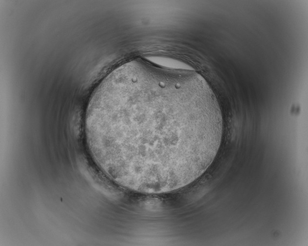 X0000112170600200909041152