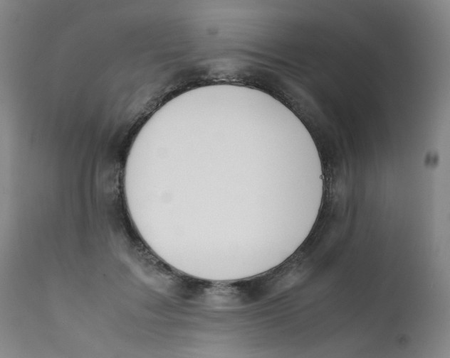 X0000112170603200909041152