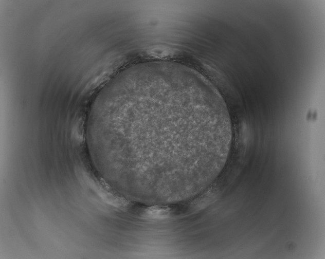 X0000112170606200909041152