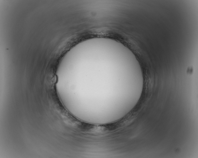 X0000112170609200909041152