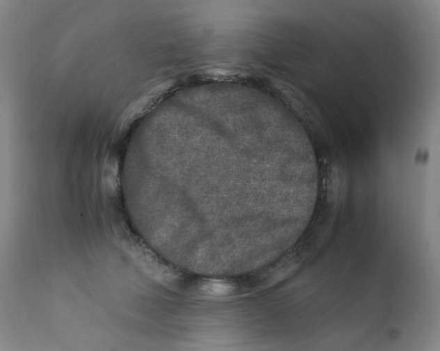 X0000112170610200909041152