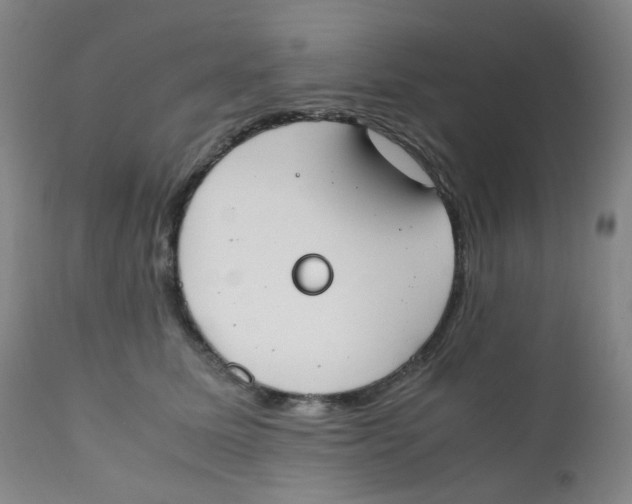 X0000112170611200909041152