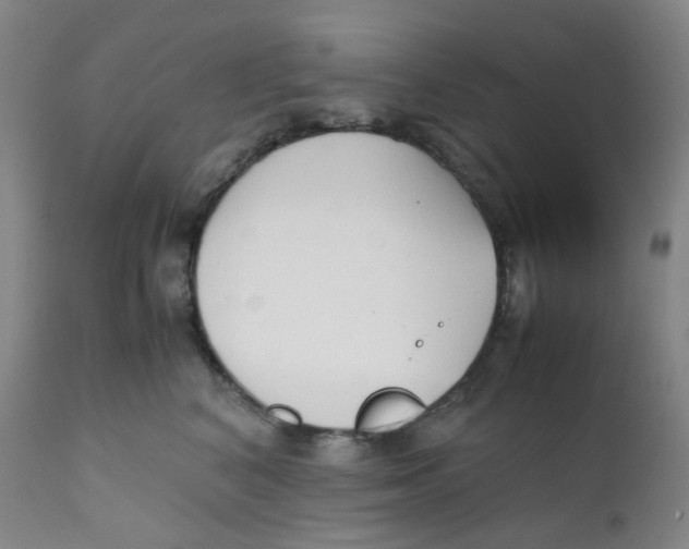 X0000112170616200909041152