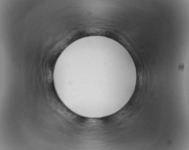 X0000112170617200909041152