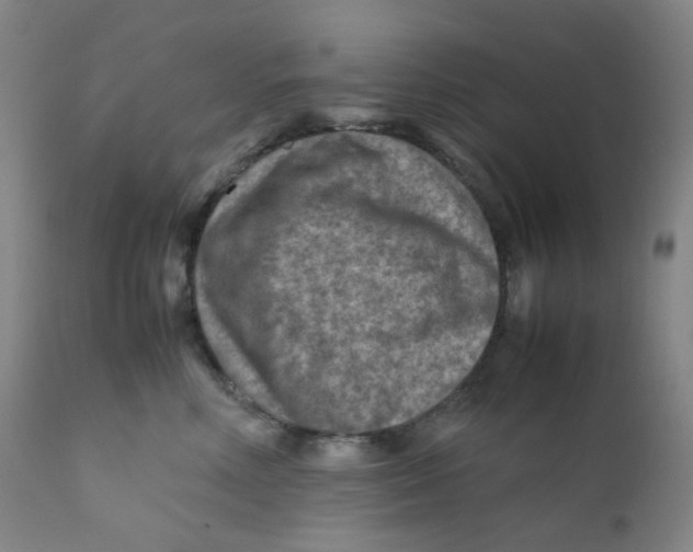 X0000112170618200909041152