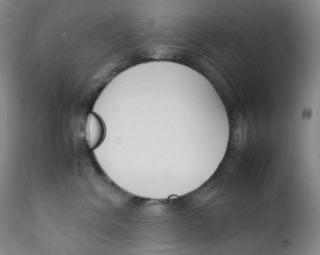 X0000112170620200909041152