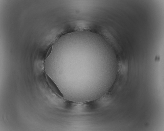 X0000112170621200909041152