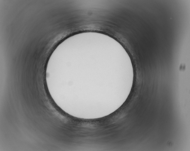 X0000112170625200909041151