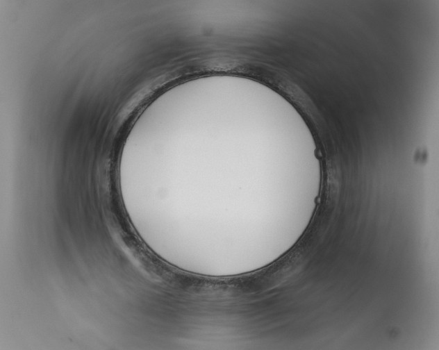 X0000112170626200909041151