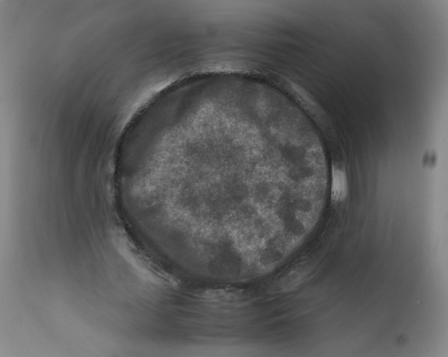 X0000112170627200909041152