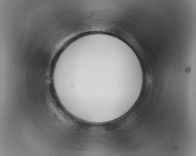 X0000112170628200909041152