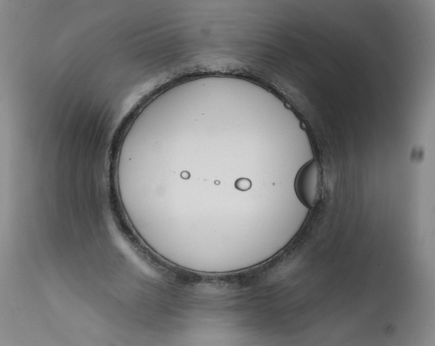 X0000112170630200909041152