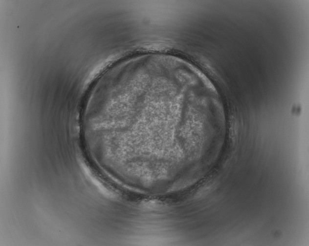 X0000112170634200909041152