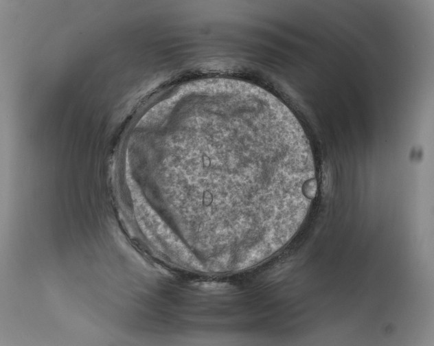 X0000112170637200909041152