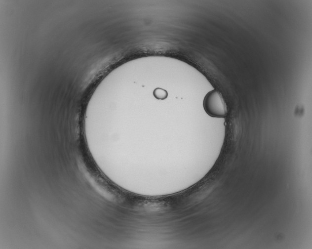 X0000112170638200909041152