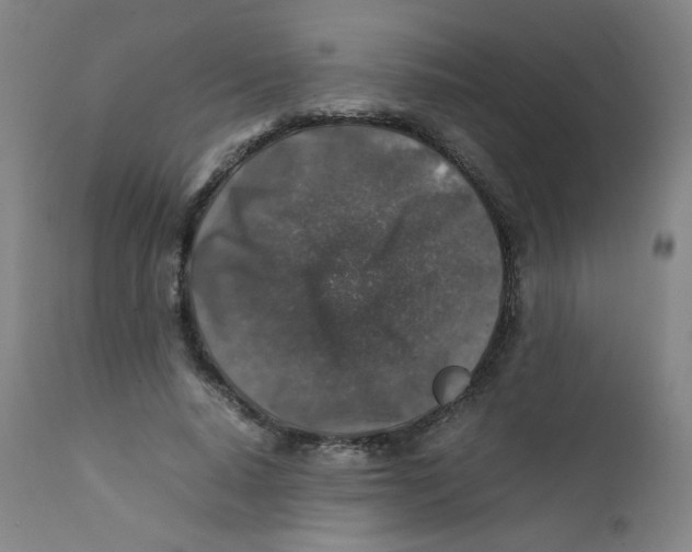 X0000112170640200909041152